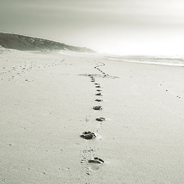 Privatermittlungen auf Sylt: Ein ungelöster Vermisstenfall