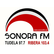 Sonora FM 
