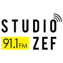 Studio ZEF-Logo