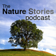 Nature Stories-Logo