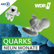 WDR 5 Quarks – Neun Monate-Logo