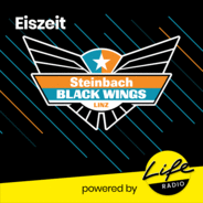 Eiszeit - Der Life Radio - Black Wings Podcast-Logo