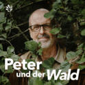Peter und der Wald-Logo