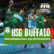 HSG Wetzlar - der Handball-Podcast-Logo