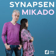 Mittermeiers Synapsen Mikado - Gespräche mit einer 15-Jährigen-Logo