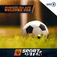 Bundesliga Ade – Welcome USA-Logo