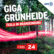Giga Grünheide - Tesla in Brandenburg-Logo