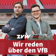 Wir reden über den VfB-Logo