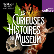 Les Curieuses histoires du Muséum-Logo