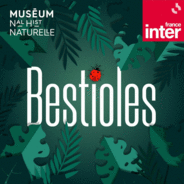 Bestioles-Logo