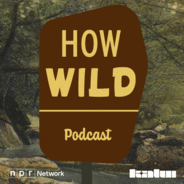 How Wild-Logo