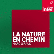 La nature en chemin-Logo