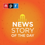 NPR's Story of the Day-Logo